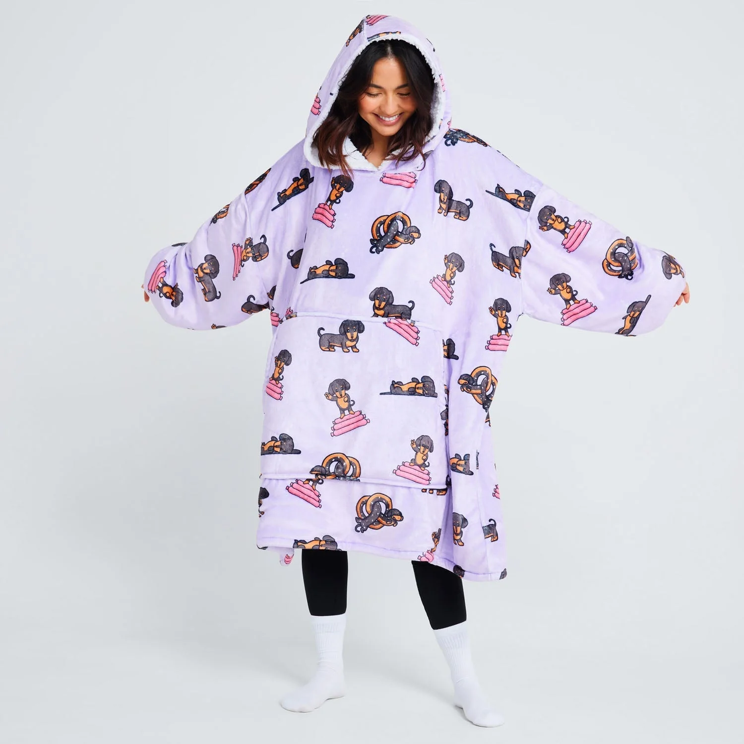 Dachshund - Image 2
