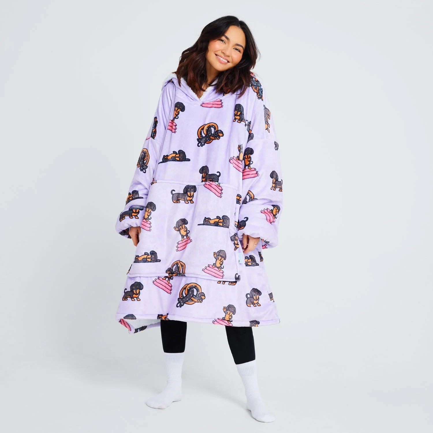 Dachshund - Image 8